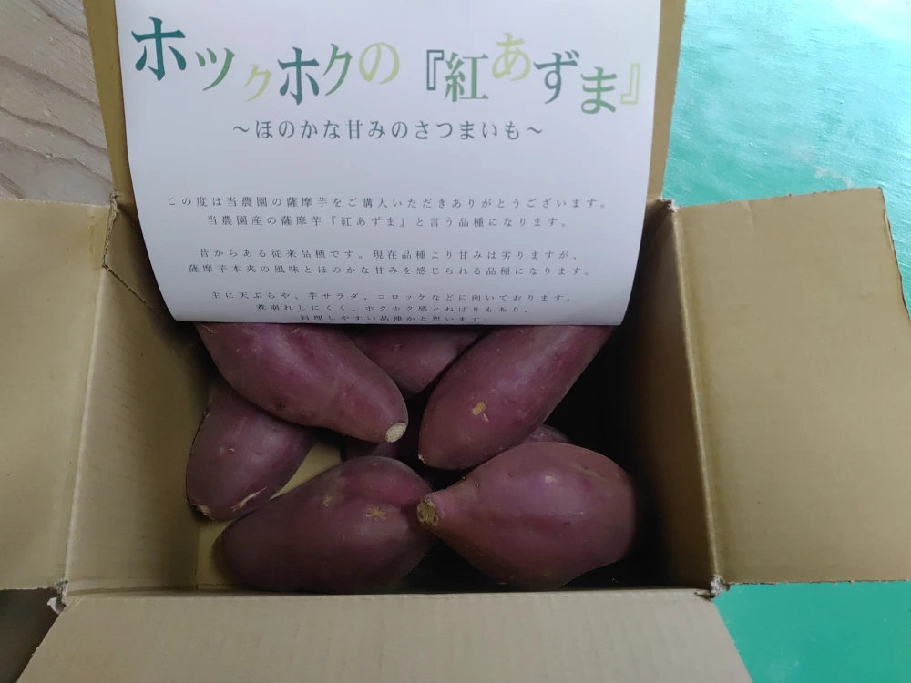 燕市の学校給食指定 天ぷらや大学芋にホクホクで甘い紅あずま　２Ｋｇ