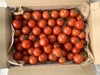 イスラエルの中玉トマト・ダルシモール・ご家庭用キズもの込み★計1.3kgバラ詰