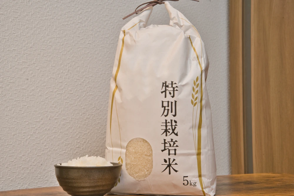 新米北海道米食べ比べセット(5年産)お好きな品種から5kg各2つ計10kg(精米