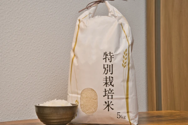 北海道米食べ比べセット(5年産)お好きな品種から5kg各2つ計10kg(精米