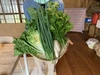 奥出雲産自然栽培なべ野菜セット(4品)