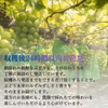 【特秀・赤秀】岡山県産シャインマスカット（3〜4房）