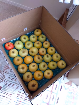 みんなの投稿の画像