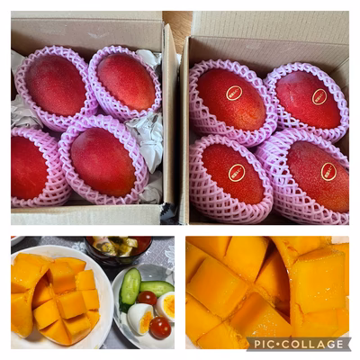 みんなの投稿の画像