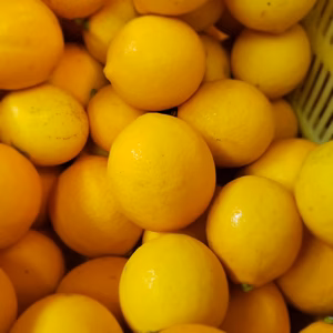 皮までバリバリ食べれるレモン 　各種重量　まとめ買いがお得