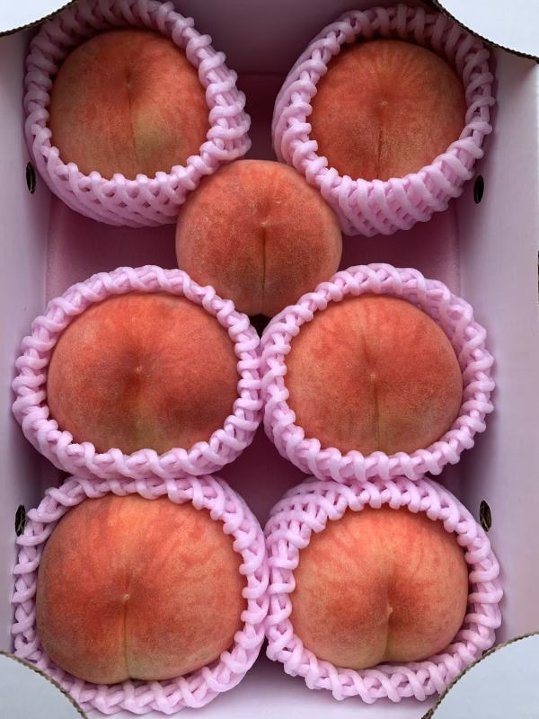 【限定お試し価格‼︎】ちょい傷、訳ありお買い得‼︎6〜8玉あかつき約2kg  