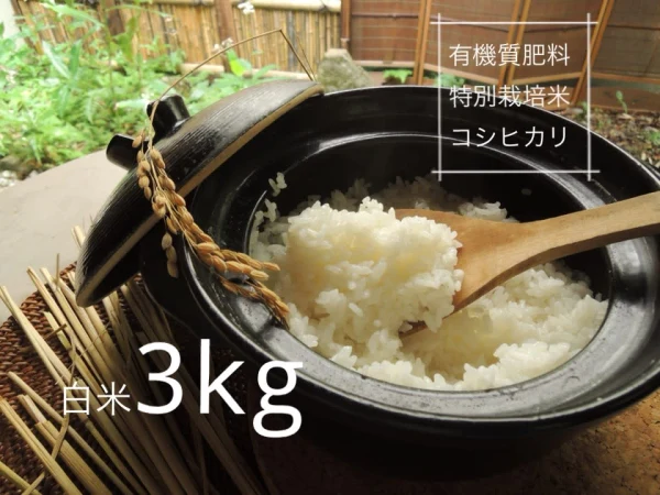 大利根の恵みいっぱい【特別栽培米】コシヒカリ、白米3kg