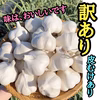 【訳あり】皮むけあり❗令和７年産青森にんにくの王様白玉王　大玉　2Lサイズ
