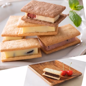 【福袋2025】福袋限定+新商品1個おまけ付き★バターサンド5種10個入り　