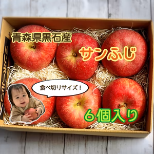 青森県産サンふじりんご6個入り(北海道から関東までの方限定)