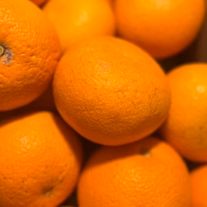 【木成り八朔さつき】　箱込み5キロ　訳あり　※皮むき器つき　さつき八朔　はっさく