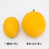 【訳アリ品】レモン（栽培期間中農薬不使用）静岡県磐田市産 