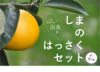 しまのはっさく食べ比べセット【因島ブランド】瀬戸内・因島！