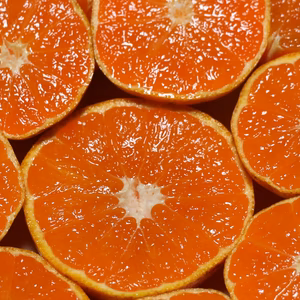 【限定20箱】皮ごといける⁈ジューシーな温州みかん(10kg)