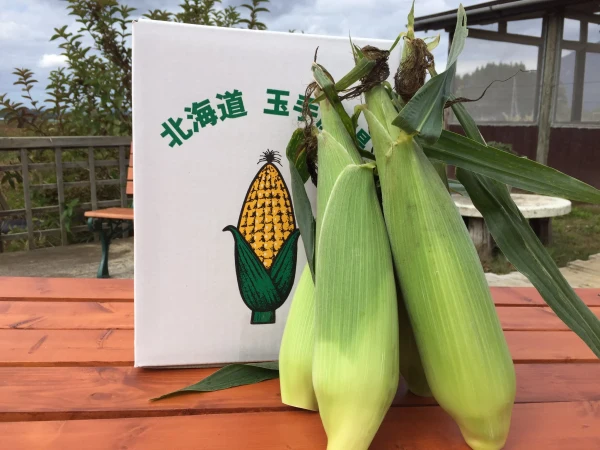 【8月中旬以降予約】生でもなまら美味い北海道のトウモロコシ10本