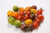 《農園からの直行便》カラフルミニトマト　3kg