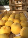 【60品種の桃を作る桃農家】贅沢2種詰め合わせ　2,2㎏（４－８玉）