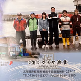 佐藤匡将 | 有限会社 カネサ漁業