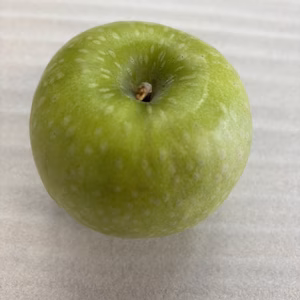 グラニースミス5㎏