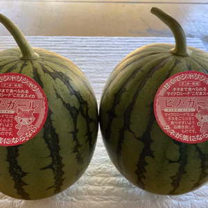 甘い小玉スイカピノガール2玉(3.6〜6kg)