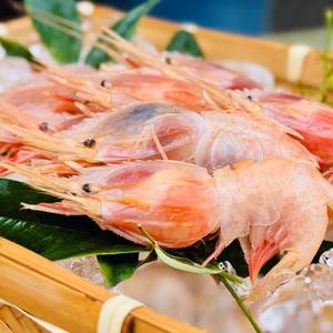 シンデレラ誕生！魚ガチャから「ミノエビ」オススメは刺身！