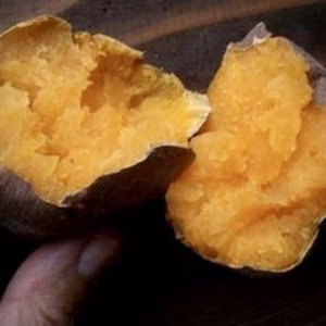 スプーンで食べれる！甘くてねっとり熟成 安納芋　2.5kg、5kg