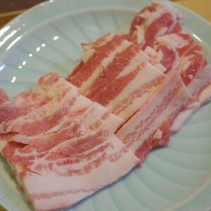 豚バラ肉　焼肉用厚切り　サムギョプサルに　発酵食品を食べた豚「雪乃醸」