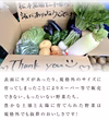 【訳あり】農園直送野菜セット 露地栽培で育った 野菜5～6種の詰め合わせ 減農薬
