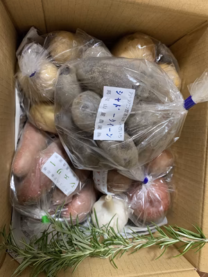 みんなの投稿の画像