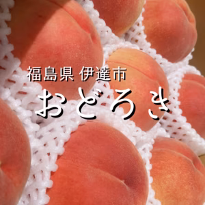 福島県産　おどろき（白桃）3kg