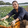 西井美幸
