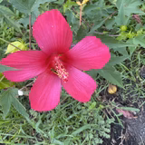 初心忘るべからず