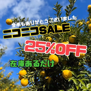 【在庫限り】ありがとうSALE 上品な甘さのはるか食べてみて