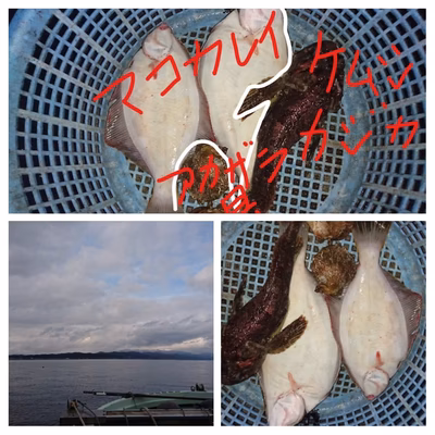 みんなの投稿の画像