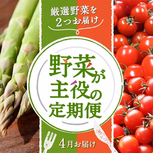 厳選野菜を2つお届け「野菜が主役の定期便」