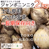 横浜産ジャンボ生ニンニク2ｋｇ【ワケアリ】