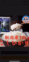 コシヒカリ10kg(無洗米)    令和元年産