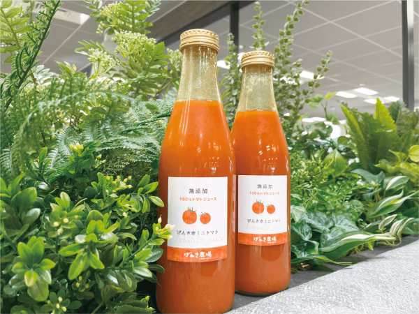 【在庫限り！半額セール】トマトジュース  720ml×2本