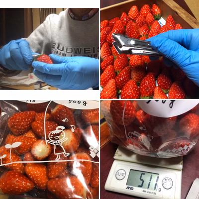 みんなの投稿の画像