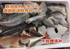 新潟寝屋漁港から直送する鮮魚セット 下処理済（頭、内臓、鱗取り）