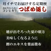 月イチでお届けする定期便　おかずのいらないコシヒカリ　つばめ返し
