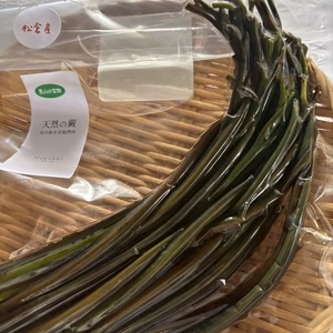 魚津市松倉産の天然わらび✨灰汁抜き花処理済　農薬不使用　レシピ-おまけ付き