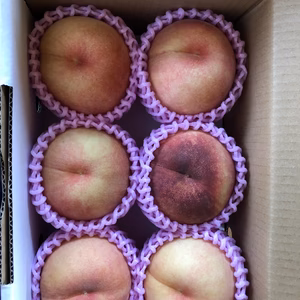 朝もぎ★山形県産★あかつき　２キロ箱満杯詰め[5〜6玉]