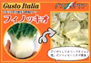 納豆菌栽培淡路島産　希少！国産フェンネル　フィノッキオ（北海道沖縄離島以外）