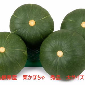 大人気 ！　あま〜い超熟かぼちゃ！島根県産　訳なし完熟かぼちゃ（3㌔）