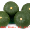 大人気 ！　あま〜い超熟かぼちゃ！島根県産　訳なし完熟かぼちゃ（5㌔）