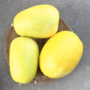 昭和の味【マクワウリ】3個or6個