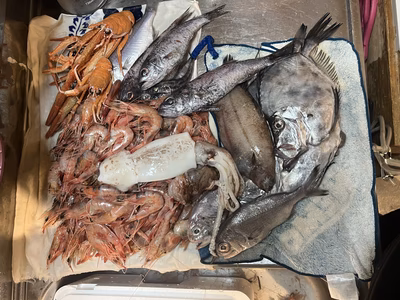 みんなの投稿の画像