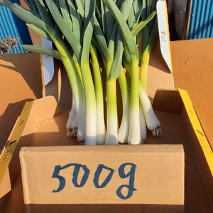 旨すぎてお箸がとまらない❕葉ニンニクとプリプリ食感の小粒椎茸のセット