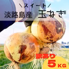ちょこっと訳あり！！主役級！！あま〜い♪淡路島たまねぎ